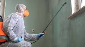 Why You Should Choose Our Mold Remediation Services in Payson, UT